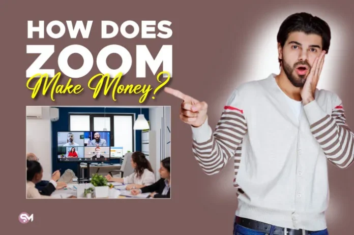 How Does Zoom Make Money?