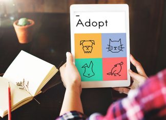 benefits of adopting a pet