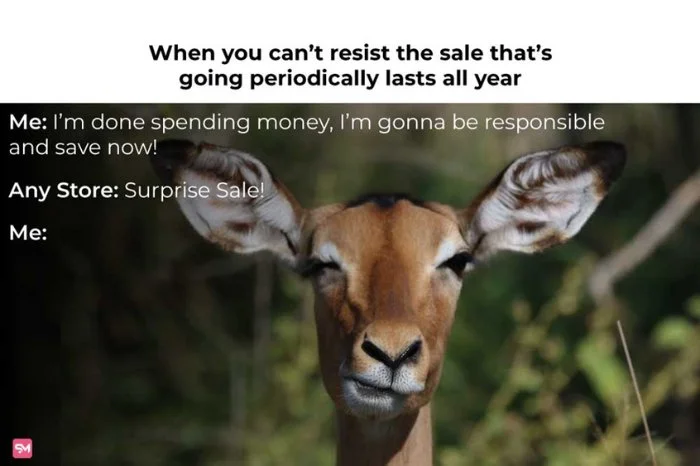 Money Meme-Surprise Sale