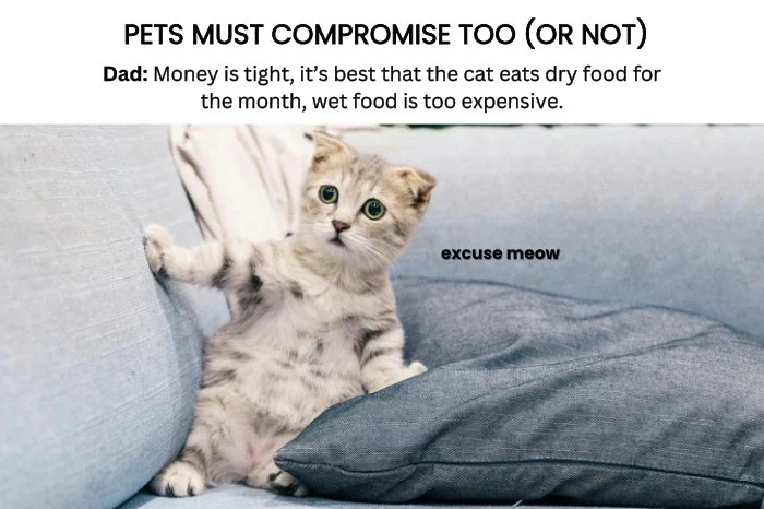 Pets Must Compromise Too (Or Not)