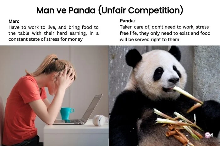 The Losing Battle Against Pandas