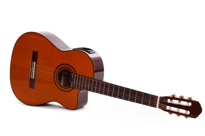 Cocobolo wood Guitar