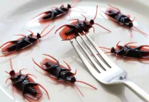 How to Get Rid of Roaches in the Kitchen