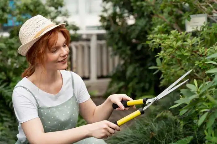 Trim Vegetation Around the House