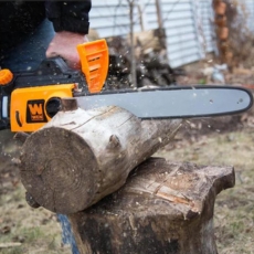 WEN Electric Chainsaw