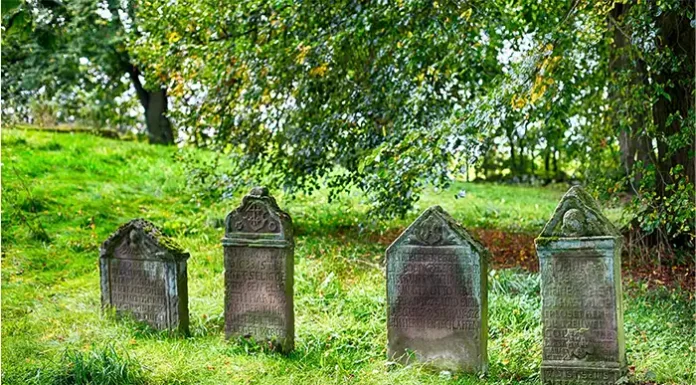 Natural Burials UK